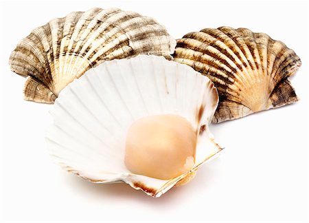 scallops - Three scallops Stock Photo - Premium Royalty-Free, Code: 659-06671320