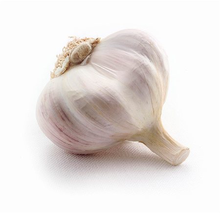 A whole garlic Stock Photo - Premium Royalty-Free, Code: 659-06671323