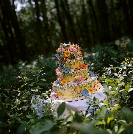 simsearch:659-06671424,k - Forest Wedding Cake Stockbilder - Premium RF Lizenzfrei, Bildnummer: 659-06671429