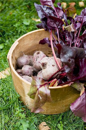 Beetroot in a wooden bucket on the grass Stock Photo - Premium Royalty-Free, Code: 659-06671598