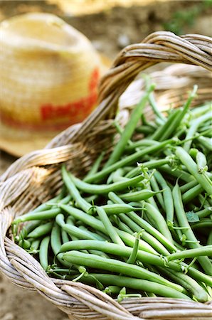 A basket of freshly harvested green beans Photographie de stock - Premium Libres de Droits, Code: 659-06900796