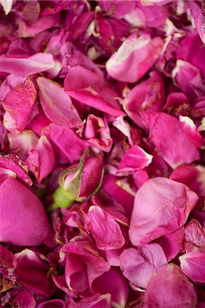 rose petals - Rose Tea Foto de stock - Sin royalties Premium, Código: 659-06901051