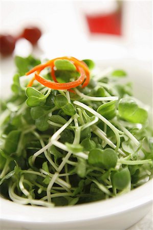 simsearch:659-08905339,k - Salad vegetable shoots Photographie de stock - Premium Libres de Droits, Code: 659-06901187