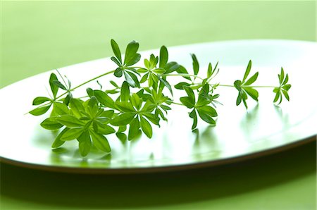 Fresh woodruff Foto de stock - Sin royalties Premium, Código: 659-06901244