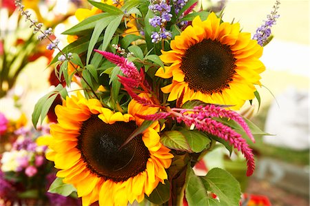 summer bouquet - Organic Sunflower Bouquet at a Farmers Market Stock Photo - Premium Royalty-Free, Code: 659-06901542