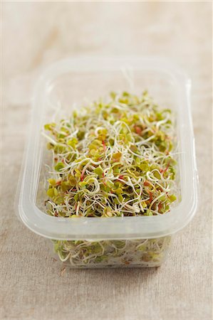 receptacle - Radish sprouts Foto de stock - Sin royalties Premium, Código: 659-06902447