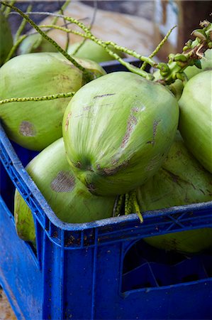 Green coconuts Stock Photo - Premium Royalty-Free, Code: 659-06902484