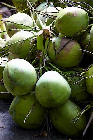 Green coconuts Foto de stock - Sin royalties Premium, Código: 659-06902485