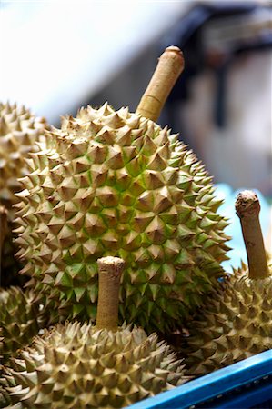 espinhoso - Durian fruit in a blue container Foto de stock - Royalty Free Premium, Número: 659-06902490