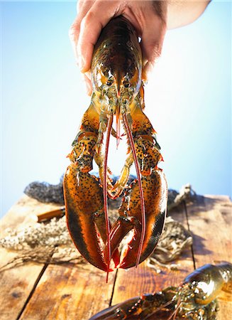 seafood food presentation - Hand holding a lobster Stock Photo - Premium Royalty-Free, Code: 659-06902544