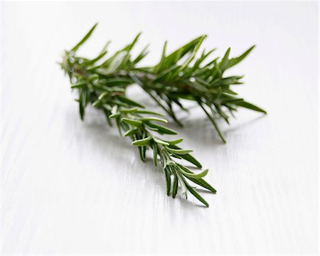 A sprig of rosemary Stock Photo - Premium Royalty-Free, Code: 659-06902556