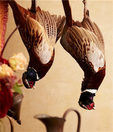 simsearch:6122-07698263,k - Two Dead Pheasants Hanging Stock Photo - Premium Royalty-Free, Code: 659-06902880