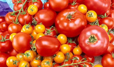 Various varieties of tomatoes Stock Photo - Premium Royalty-Free, Code: 659-06903173