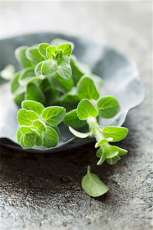 Marjoram Foto de stock - Sin royalties Premium, Código: 659-06903241