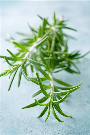 romero - Sprig of rosemary Foto de stock - Sin royalties Premium, Código: 659-06903257