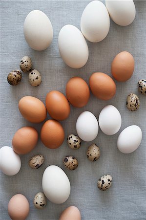 egg overhead - Various kinds of eggs Stock Photo - Premium Royalty-Free, Code: 659-06903395