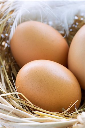 straw (dry vegetation or crop) - Brown eggs in a nest with a feather Stock Photo - Premium Royalty-Free, Code: 659-06903391