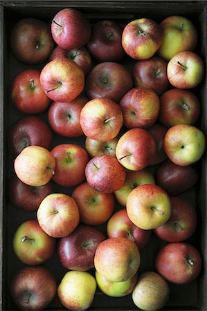 pomiferous fruit - Lots of apples in a crate Stock Photo - Premium Royalty-Free, Code: 659-06903392