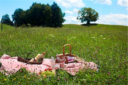 picnic - A picnic in a meadow of wild flowers Photographie de stock - Premium Libres de Droits, Code: 659-06903452