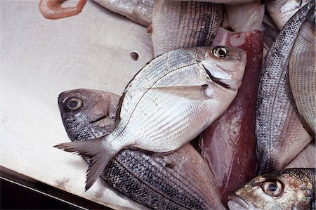 squid - Fresh Caught Butter Fish at Ortigia Market in Siracusa, Sicily Foto de stock - Sin royalties Premium, Código: 659-06903492