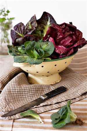 Assorted types of radicchio in a colander Stock Photo - Premium Royalty-Free, Code: 659-06903806