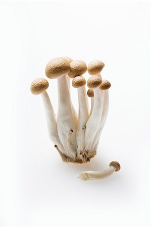 Buna-Shimeji Mushrooms on White Background Foto de stock - Sin royalties Premium, Código: 659-06903828