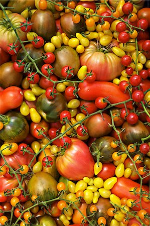 Lots of organic tomatoes (rare varieties), filling the image Foto de stock - Sin royalties Premium, Código: 659-06903907