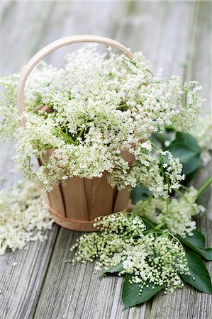 Elderflowers in woodchip baskets Stock Photo - Premium Royalty-Free, Code: 659-07026747