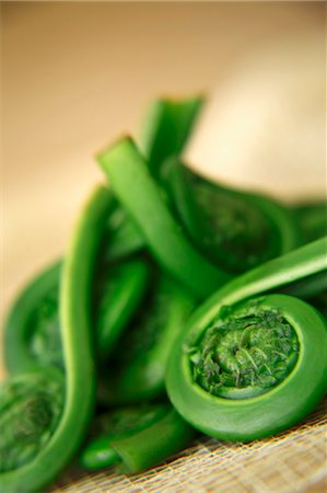 Fresh Fiddleheads; Close Up Foto de stock - Sin royalties Premium, Código: 659-07026872
