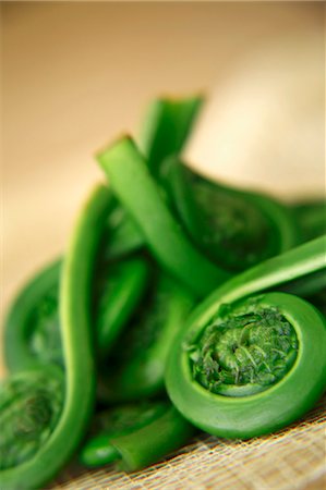 Fresh Fiddleheads; Close Up Photographie de stock - Premium Libres de Droits, Code: 659-07026872