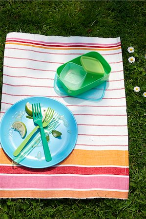 A cleared plate and picnic crockery on a striped cloth Stock Photo - Premium Royalty-Free, Code: 659-07026934