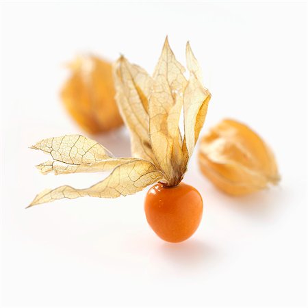 exotic cuisine - Physalis (no background) Stock Photo - Premium Royalty-Free, Code: 659-07026941