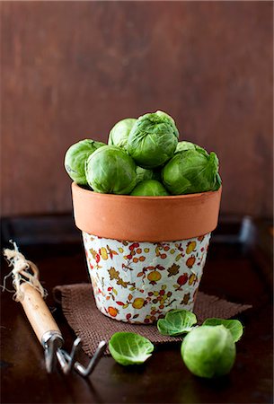 simsearch:659-06902238,k - Fresh Brussels Sprouts in a Garden Pot Stockbilder - Premium RF Lizenzfrei, Bildnummer: 659-07027036