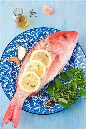 simsearch:659-06153702,k - Whole Red Snapper with Fresh Herbs and Lemon Slices on a Blue and White Plate Stockbilder - Premium RF Lizenzfrei, Bildnummer: 659-07027051