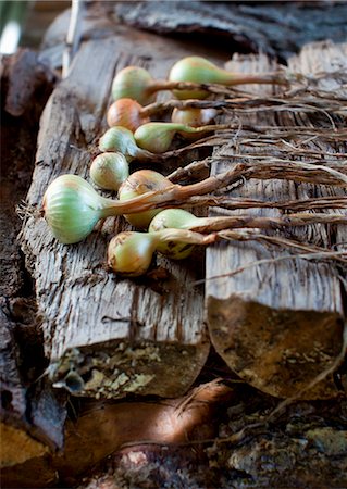 simsearch:659-06186025,k - Fresh Onions on a Woodpile Stock Photo - Premium Royalty-Free, Code: 659-07027061