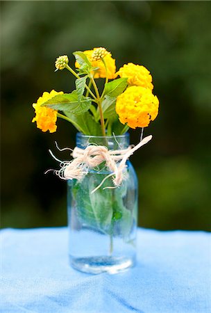 posy - Small Jar of Yellow Lantana Flowers Toe with Twine on an Outdoor Table Photographie de stock - Premium Libres de Droits, Code: 659-07027093