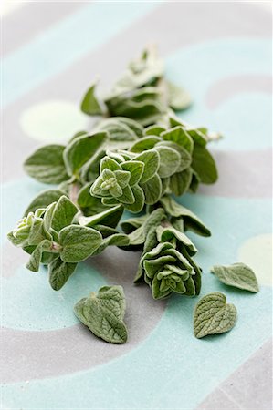 simsearch:659-06155419,k - Sprigs of fresh oregano and individual leaves Stock Photo - Premium Royalty-Free, Code: 659-07027155