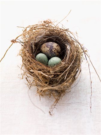 Quail's egg with marzipan egg in an Easter nest Fotografie stock - Premium Royalty-Free, Codice: 659-07027217