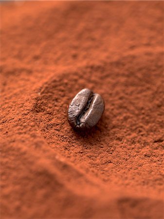A mocha bean in cocoa powder (close-up) Foto de stock - Sin royalties Premium, Código: 659-07027210