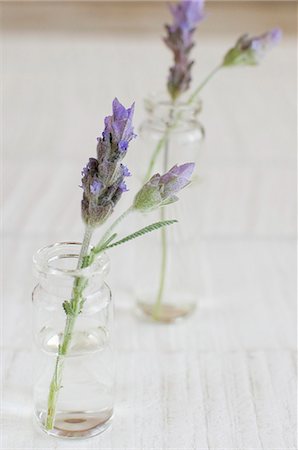 simsearch:659-07599058,k - Lavender flowers in vases Photographie de stock - Premium Libres de Droits, Code: 659-07027368