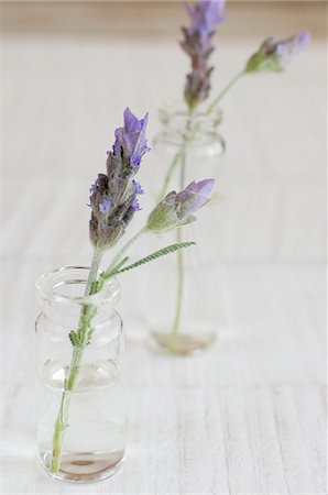 simsearch:659-06494893,k - Lavender flowers in vases Stock Photo - Premium Royalty-Free, Code: 659-07027368