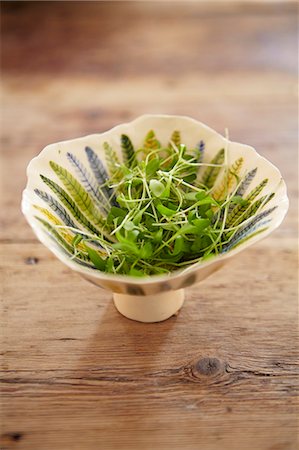simsearch:659-07028837,k - Fresh cress in a ceramic bowl Foto de stock - Sin royalties Premium, Código: 659-07027425