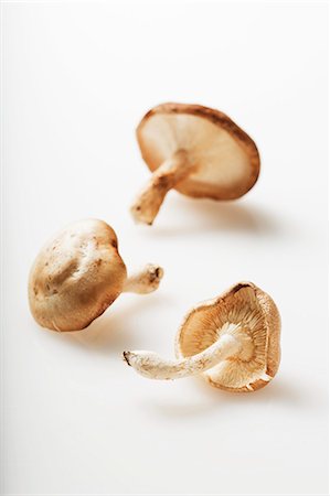 Three Shiitake Mushrooms on a White Background Foto de stock - Sin royalties Premium, Código: 659-07028004