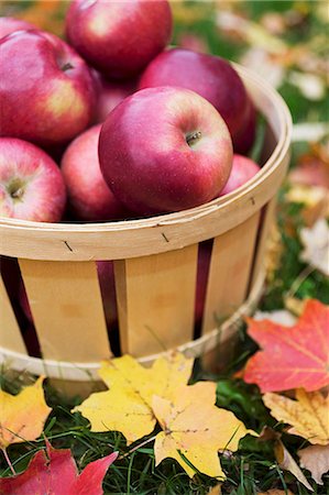 Basket of Fresh Picked Apples on the Grass Surrounded by Autumn Leaves Foto de stock - Sin royalties Premium, Código: 659-07028139