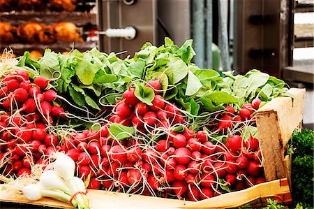 sale vegetables - Radishes in a crate at the market Stock Photo - Premium Royalty-Free, Code: 659-07028165