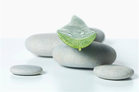 An aloe vera leaf on pebbles Stockbilder - Premium RF Lizenzfrei, Bildnummer: 659-07028212