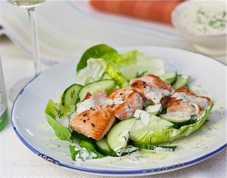 simsearch:659-07610227,k - Salmon and cucumber salad with dill yoghurt Stock Photo - Premium Royalty-Free, Code: 659-07028237