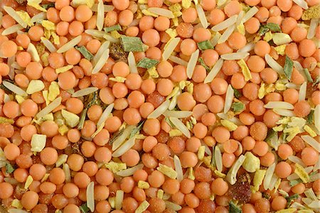 simsearch:659-07028502,k - A mix of lentils and rice with herbs and spices (section) Photographie de stock - Premium Libres de Droits, Code: 659-07028477