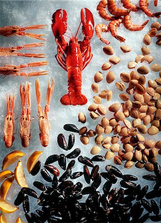 european lobster - Cooked lobster, shellfish and langoustines on ice Photographie de stock - Premium Libres de Droits, Code: 659-07068508