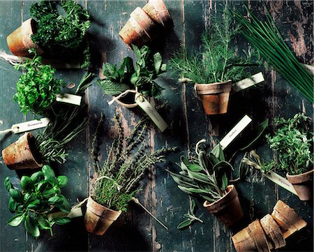 Assorted culinary herbs in terracotta pots Stock Photo - Premium Royalty-Free, Code: 659-07068514